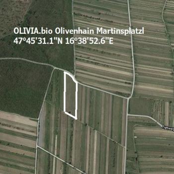 Olivenhain Martinsplatzl Info und Wegbeschreibung